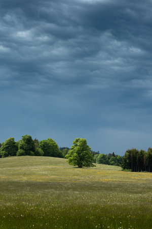 Spring field with tree and heavy clouds on sky, Czechia - Czech Canadaの写真素材