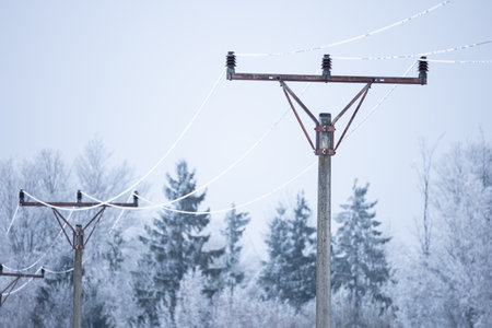 Retro electric pole with frozen wires and forest on backgroundの写真素材