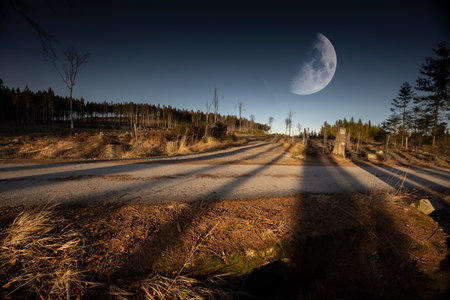 Evening landscape with long tree shadows on path and moon on night sky on backgroundの写真素材