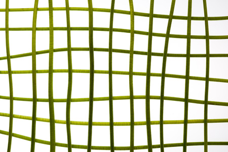 Green stems in square grid on white background