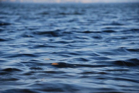 water and leavesの写真素材