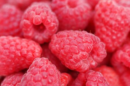 Large raspberries. Raspberry close-up. Berry background. Summer vitamins