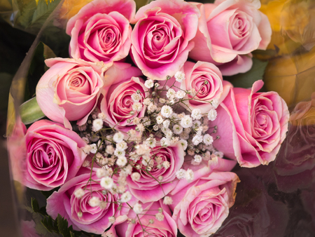 A bouquet of pink rosesの写真素材