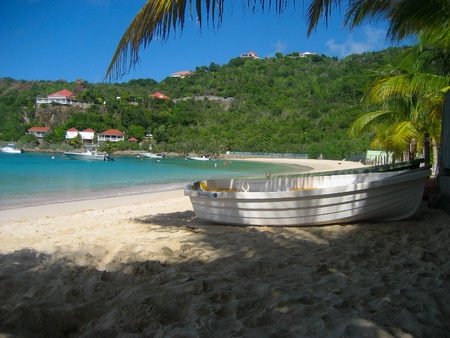 Boat under palm tree on St Jean Beach, St Barthsの写真素材