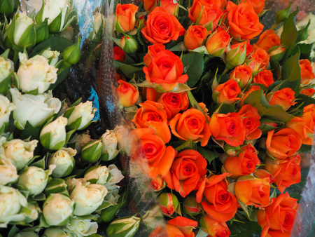 Red and white rose bouquets at the flower market in Franceの写真素材