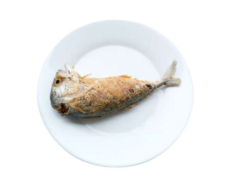 ginger isolated on white background.の写真素材
