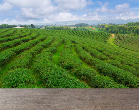 Wooden floor with beautiful landscape of tea plantation background.