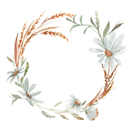 Daisy wheel, chamomile white flower. Watercolor illustration. Clip-art.の写真素材