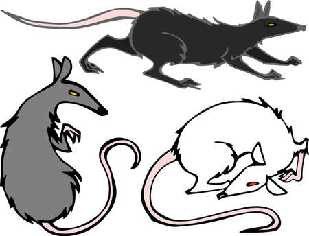 Vector cororful illustration set of creepy ratsのイラスト素材