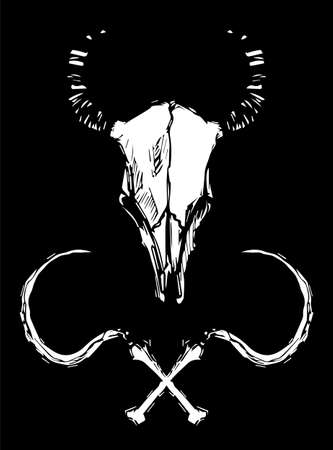 vector black and white illustration of bull skullのイラスト素材