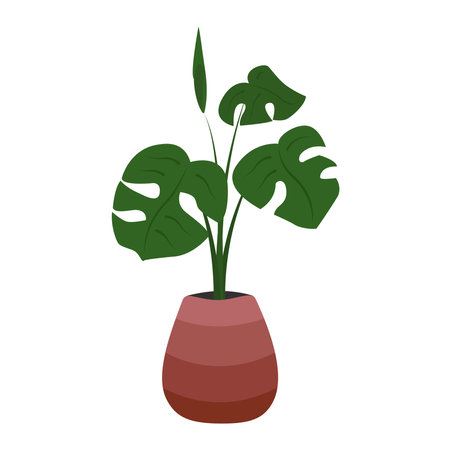 Houseplant in a pot isolated on white background. vector illustration.のイラスト素材