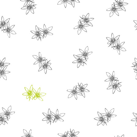 flowers isolated on white background.のイラスト素材