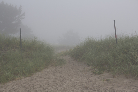 a path in a foggy morning, between dunesの写真素材