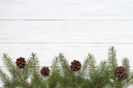 Christmas decoration with fir tree
