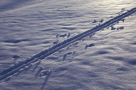 Ski track on the snow with sunset light. Winter sport background, cross-country skiing. Imprints on...