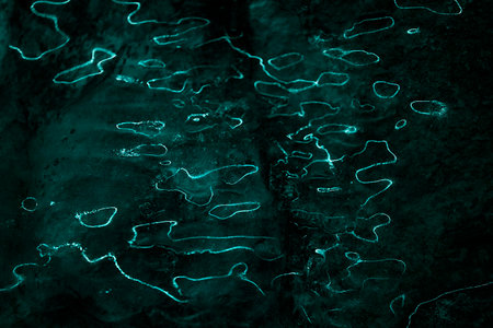 Waves of light reflections on dark background. Abstract curves lines of fluorescent light on ice surface. Dark background with organic, liquid lights.の写真素材