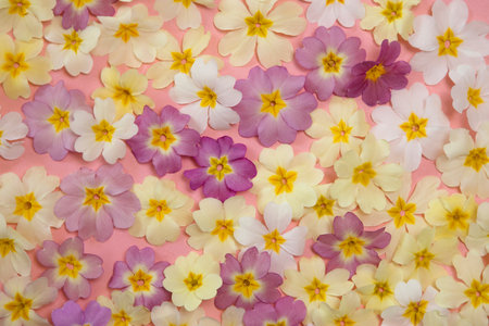 Romantic vintage style flowers pattern. Pastel colored flowers flat lay, abstract bloom background. Greeting card, wedding, anniversary.の写真素材