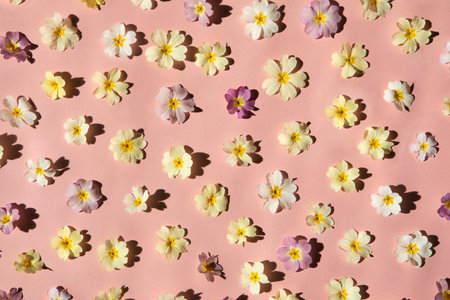 Spring flowers pattern on pink background. Pastel colored flowers flat lay, bright light with shadows, abstract bloom background. Greeting card, wedding, anniversary.の写真素材