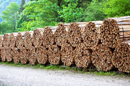 Packages of chopped wood in the forest by the footpath, prepared in a sawmill for burning in a...