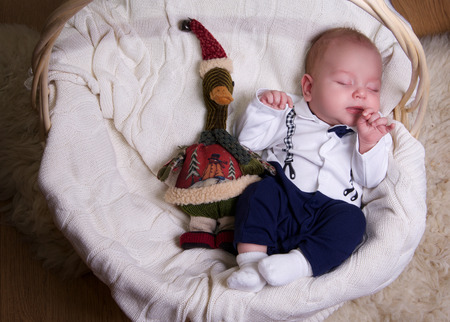 little boy dressed as a gentleman is sleeping in a straw wicker basket under the Christmas treeの写真素材