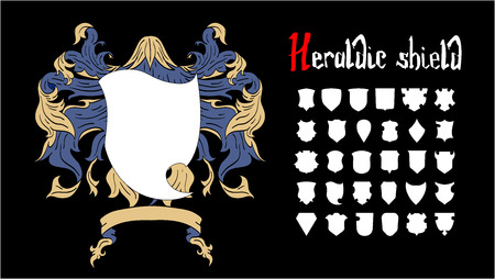 Vector Heraldic Shield Set, 30 shieldsのイラスト素材