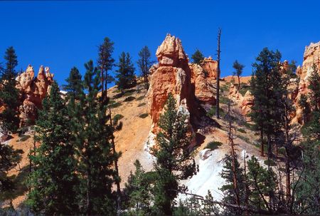 Bryce Canyon National Park is a national park located in southwestern Utah in the United States. Contained within the park is Bryce Canyon. Despite its name, this is not actually a canyon, but rather a giant natural amphitheater created by erosion along tの写真素材