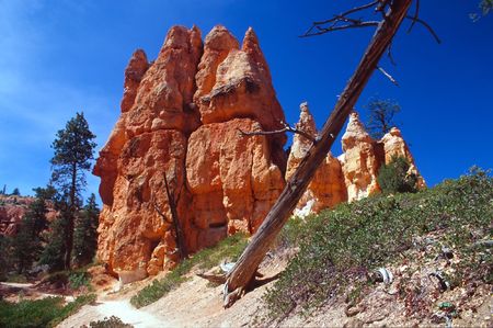 Bryce Canyon National Park is a national park located in southwestern Utah in the United States. Contained within the park is Bryce Canyon. Despite its name, this is not actually a canyon, but rather a giant natural amphitheater created by erosion along tの写真素材