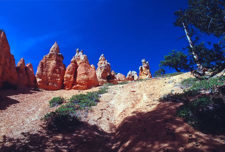 Bryce Canyon National Park is a national park located in southwestern Utah in the United States. Contained within the park is Bryce Canyon. Despite its name, this is not actually a canyon, but rather a giant natural amphitheater created by erosion along tの写真素材
