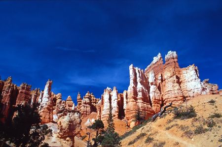 Bryce Canyon National Park is a national park located in southwestern Utah in the United States. Contained within the park is Bryce Canyon. Despite its name, this is not actually a canyon, but rather a giant natural amphitheater created by erosion along tの写真素材
