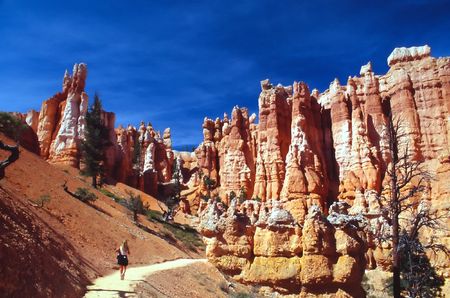 Bryce Canyon National Park is a national park located in southwestern Utah in the United States. Contained within the park is Bryce Canyon. Despite its name, this is not actually a canyon, but rather a giant natural amphitheater created by erosion along tの写真素材