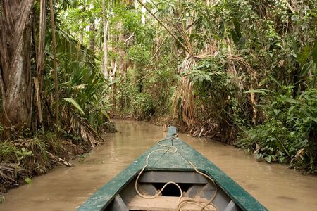Lake Sandoval is located Tambopata-Candamo which is a nature reserve in the Peruvian Amazon Basin...
