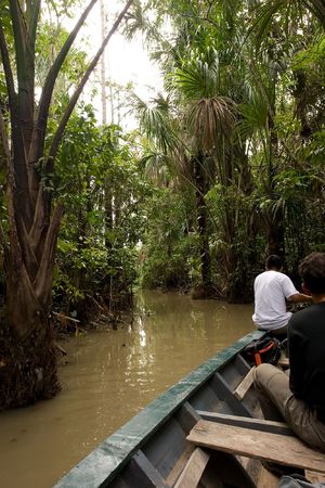 Lake Sandoval is located Tambopata-Candamo which is a nature reserve in the Peruvian Amazon Basin south of the Madre de Dios Riverの写真素材