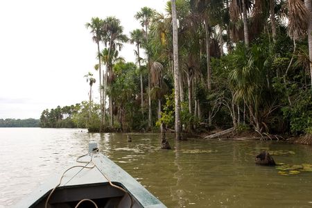 Lake Sandoval is located Tambopata-Candamo which is a nature reserve in the Peruvian Amazon Basin south of the Madre de Dios Riverの写真素材