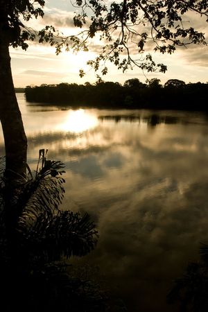 Lake Sandoval is located Tambopata-Candamo which is a nature reserve in the Peruvian Amazon Basin...
