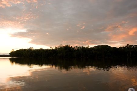 Lake Sandoval is located Tambopata-Candamo which is a nature reserve in the Peruvian Amazon Basin south of the Madre de Dios Riverの写真素材