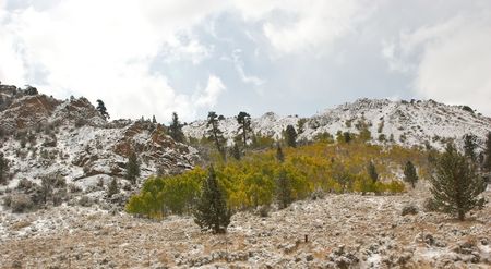 Trip to East Sierra in snow storm conditions on highway I-395.の写真素材