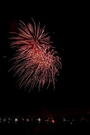 Firework is a low explosive pyrotechnic device used primarily for aesthetic and entertainment purposes.の写真素材