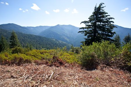Bear Camp Road is a rugged mountain road traversing the Klamath Mountains in Josephine and Curry...