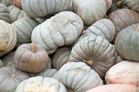 The carving of pumpkins is associated with Halloween in North America where pumpkins are both readily available and much larger- making them easier to carve than turnips.[12] Many families that celebrate Halloween carve a pumpkin into a frightening or comの写真素材