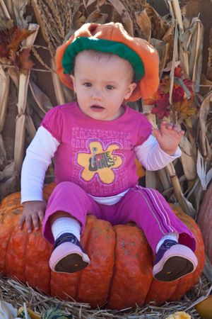 In the United States, the carved pumpkin was first associated with the harvest season in general, long before it became an emblem of Halloween.の写真素材