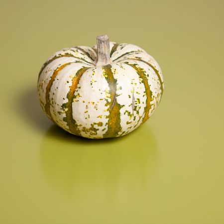 Pumpkin is a gourd-like squash of the genus Cucurbita and the family Cucurbitaceae (which also includes gourds).の写真素材