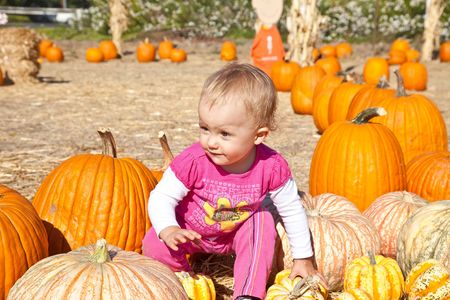 In the United States, the carved pumpkin was first associated with the harvest season in general, long before it became an emblem of Halloween.の写真素材