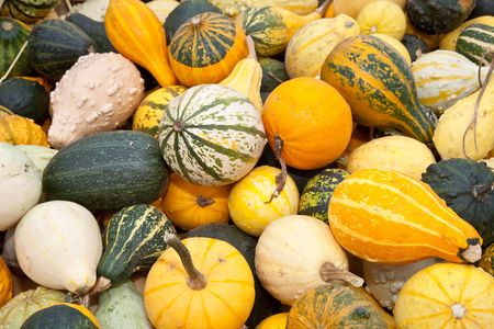 The carving of pumpkins is associated with Halloween in North America where pumpkins are both readily available and much larger- making them easier to carve than turnips.[12] Many families that celebrate Halloween carve a pumpkin into a frightening or comの写真素材