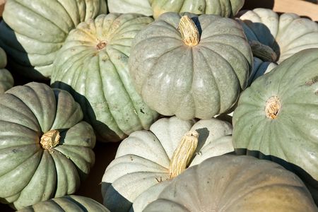 In the United States, the carved pumpkin was first associated with the harvest season in general, long before it became an emblem of Halloween.の写真素材