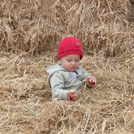 The carving of pumpkins is associated with Halloween in North America where pumpkins are both readily available and much larger- making them easier to carve than turnips.[12] Many families that celebrate Halloween carve a pumpkin into a frightening or comの写真素材