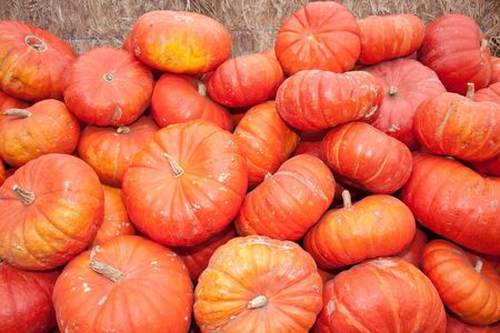 The carving of pumpkins is associated with Halloween in North America where pumpkins are both...