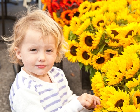 Sunflowers on sale at local farmer's market.の写真素材