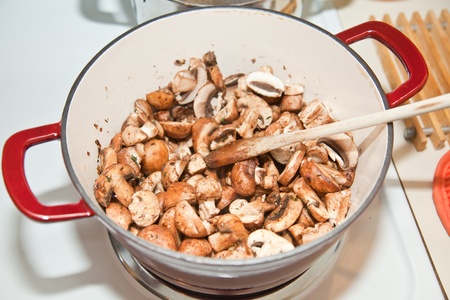 Agaricus bisporusÑknown variously as the common mushroom, button mushroom, white mushroom, table mushroom, Champignon mushroom, crimini mushroom, Swiss brown mushrooms, Roman brown mushrooms, Italian brown, Italian mushroom, cultivated mushroomの写真素材