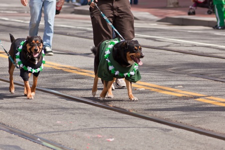 SAN FRANCISCO, CA, USA - MARCH 12:  The 160th Annual St. Patrick's Day Parade, March 12, 2011 in San Francisco, CA, USAのeditorial素材