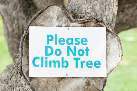 Please do not climb tree warning sign in park.の写真素材